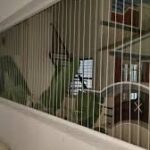 Invisible Grills in Vijaywada